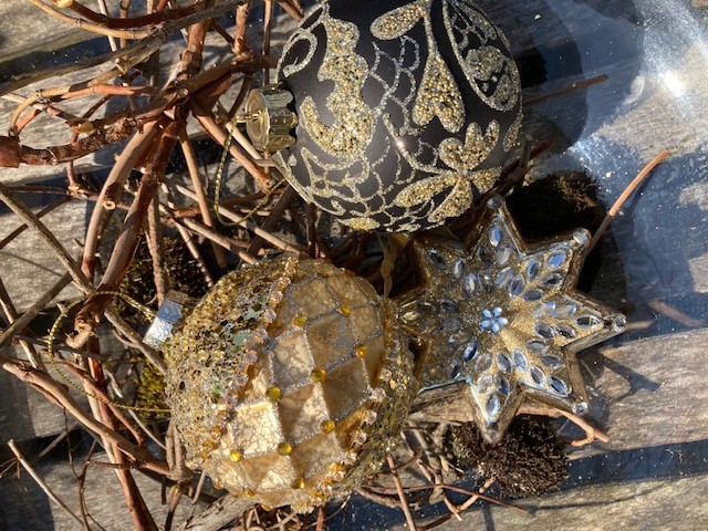 2022 Moshi sort gull