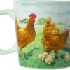 wiebe van der zee minimug chicken 23 cl 3